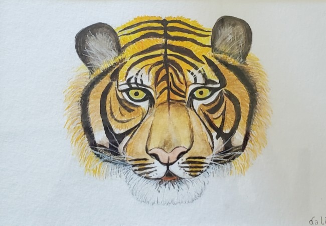 The head of a tiger orange a black